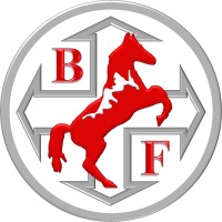 Ballyvesey Finance