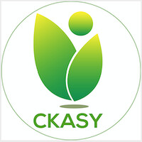 CLINIQUE KHALIFA ABABACAR SY logo - Similar company to Digitalhubsn