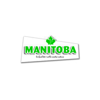 Manitobasrl logo - Similar company to Alphapet Srl