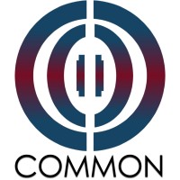 Common Entertainment logo - Similar company to Zingara Bash Films