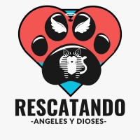 Rescatando, ángeles y dioses logo - Similar company to Líderix