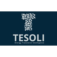 TESOLI logo - Similar company to Cehtes - Centro De Excelência