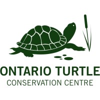 Ontario Turtle Conservation Centre logo - Similar company to Toronto Youth Environmental Council