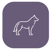DamartaSystem logo - Similar company to Behavioural Bees