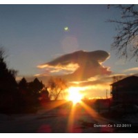 Children of God logo - Similar company to God Foundation