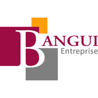 Bangui Entreprise logo - Similar company to Bangui