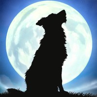 Alice in Games logo - Similar company to 1Tk Games