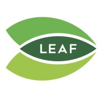 Leadership and Education for All Foundation (LEAF) logo - Similar company to Spacepalm