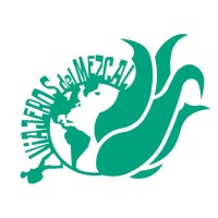 Viajeros del Mezcal logo - Similar company to Evoke: An Experience Agency