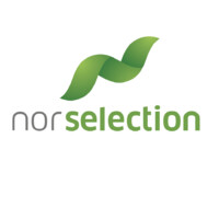 Nor Selection Rekruttering AS logo - Similar company to Dfind Norge