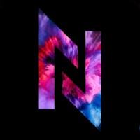 Digital Native logo - Similar company to Digital Blazin