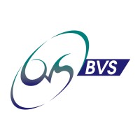 BVS Digital logo - Similar company to We Do That