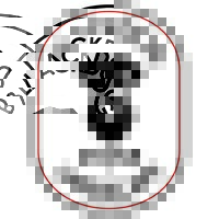 Blackdog Stone & Landscape logo - Similar company to Adelante Construction Group