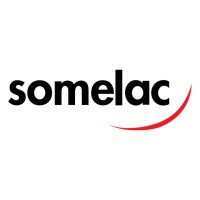 SOMELAC logo - Similar company to Audintex