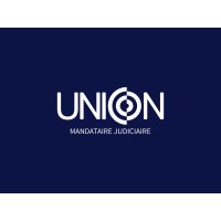 UNION MJ logo - Similar company to Blv Associes Pace