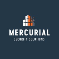 Mercurial Security Solutions Llc