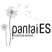Pantaies