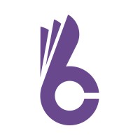 Bliss Consulting logo - Similar company to Alt Bliss Consulting Services