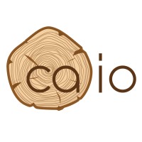 Caio Asia logo - Similar company to Be Design Studio