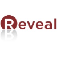Reveal Dynamics Ltd
