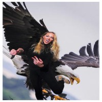 USA Digital Pioneering logo - Similar company to Clothes-Cooperation.Com