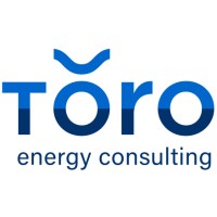 Toro Energy Consulting logo - Similar company to Ion Charge Corp.