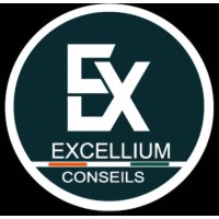 Excellium Conseils logo - Similar company to Finell