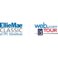 Ellie Mae Classic logo - Similar company to Nilwire Technology Solutions Pvt. Ltd.