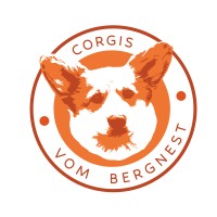 Vom Bergnest