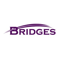 Bridges logo - Similar company to Feedone