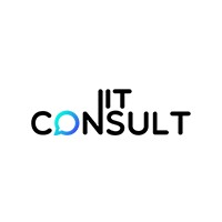 NIT Consult logo - Similar company to Sinfodex