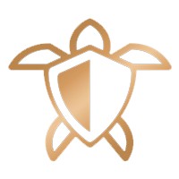 Best Times Financial logo - Similar company to Tangram Canada