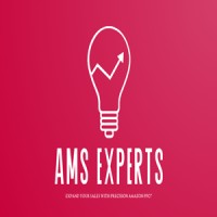 AMSEXPERTS logo - Similar company to Fundsx