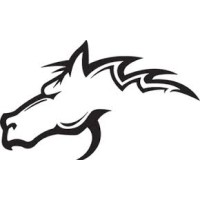 Bronco Trucking LLC logo - Similar company to Diamond S Trucking