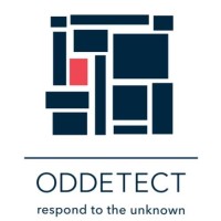 ODDETECT logo - Similar company to Memorizplus