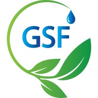 Global Sustainable Future (GSF) logo - Similar company to Ice Memory Foundation