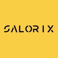 Salorix IT Pvt Limited logo - Similar company to Arisers Digital Marketing Agency