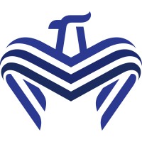 Falcon IT Solution logo - Similar company to Lemonchilie Solution