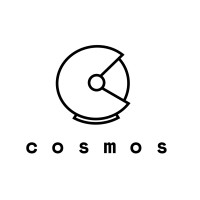 Cosmos Partners logo - Similar company to Nexinfo