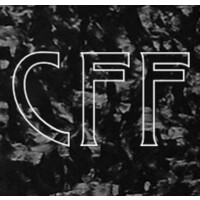 The Carbon Fiber Factory ™ logo - Similar company to Somsix
