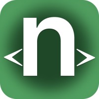 Nexus Solutio Web logo - Similar company to Webalpha Technosoft