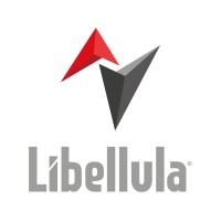 Libellula Software logo - Similar company to Lantek