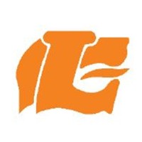 Lomini Ltd. logo - Similar company to Fusion Incorporated