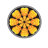 Vision Essence logo - Similar company to Aussie Pharma Direct Pty Ltd