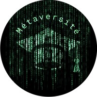 La Métaversité