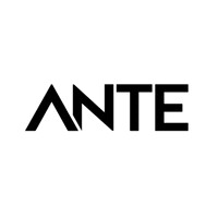 ANTE Holding logo - Similar company to 49 Group