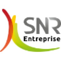 SNR Entreprise logo - Similar company to Gisonda + Angius Architectes