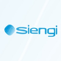 Siengi logo - Similar company to Ahcor Crane