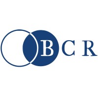 BCR Biesenbach Consulting & Recruiting logo - Similar company to Wahren Recruiting