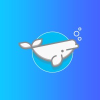 Belouga logo - Similar company to Thinkering Collective